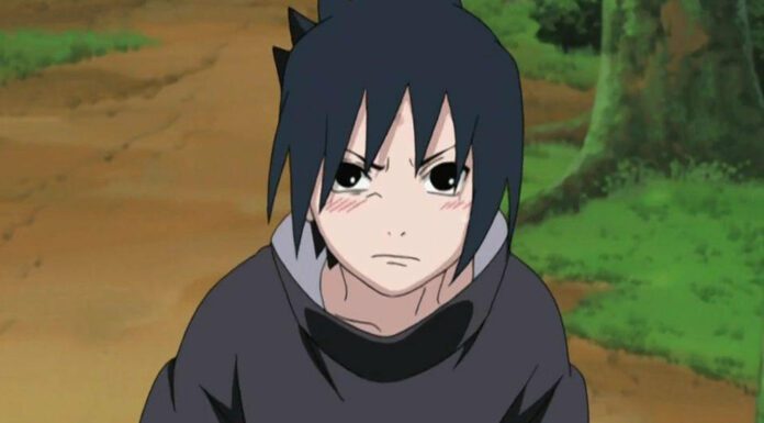 Quelle Est La Nourriture Préférée Des Tortues Ninja?