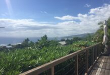 Quelle Est La Meilleure Période Pour Aller À La Réunion?