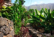 Quelle Heure Au Cap Vert?