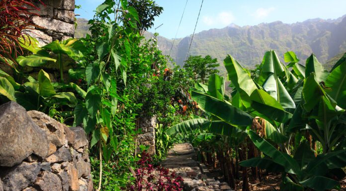 Quelle Heure Au Cap Vert?