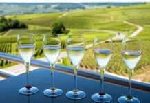 Quelle Cave Visiter À Reims?