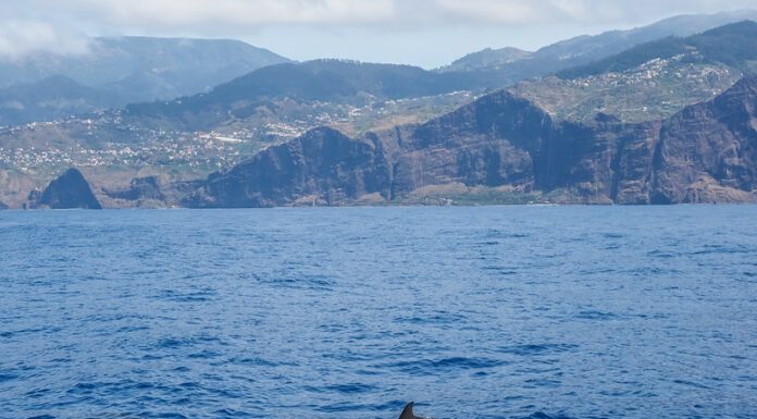 Quelle Est La Meilleure Période Pour Aller À Madère?
