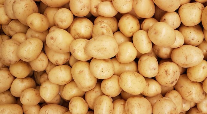 Quelle Viande Avec Gratin Dauphinois?