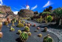 Quelle Ile Espagnole Choisir?